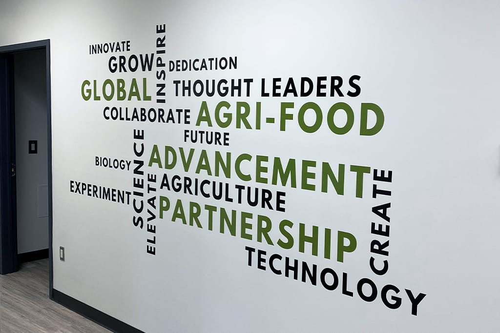 Printing & Vinyl Laser Impressions